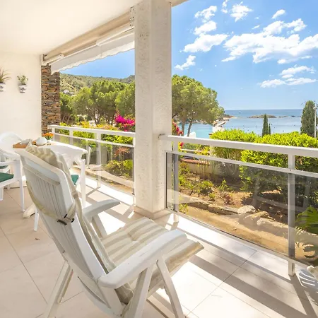 V034 - Eden רוזס