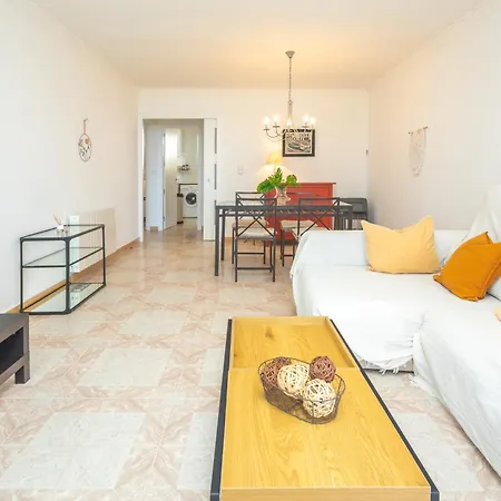 V034 - Eden רוזס